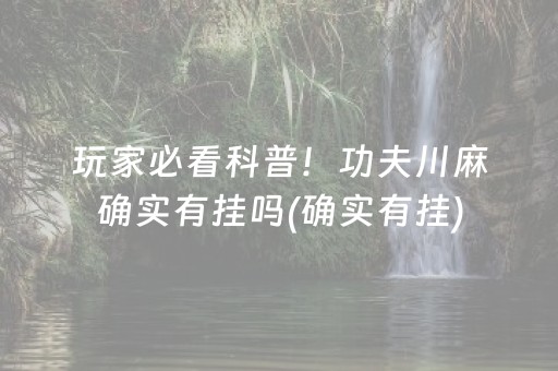 玩家必看科普！功夫川麻确实有挂吗(确实有挂)