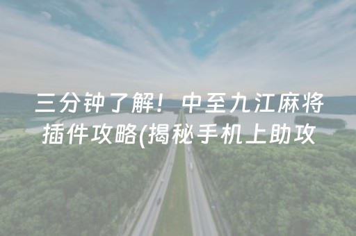 三分钟了解！中至九江麻将插件攻略(揭秘手机上助攻神器)