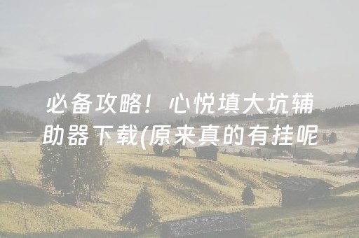 必备攻略！心悦填大坑辅助器下载(原来真的有挂呢)