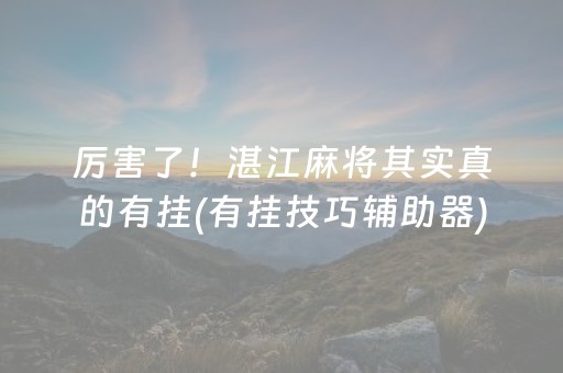 厉害了！湛江麻将其实真的有挂(有挂技巧辅助器)