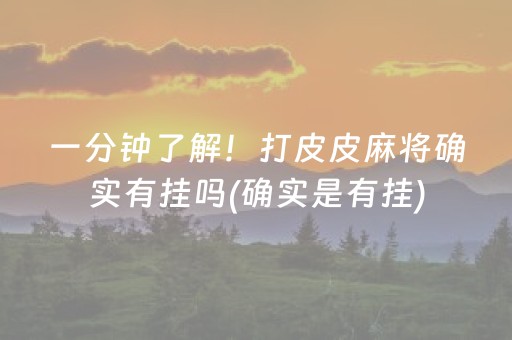 一分钟了解！打皮皮麻将确实有挂吗(确实是有挂)