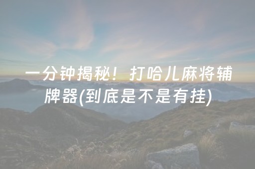一分钟揭秘！打哈儿麻将辅牌器(到底是不是有挂)