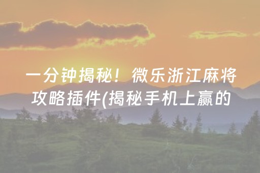 一分钟揭秘！微乐浙江麻将攻略插件(揭秘手机上赢的诀窍)