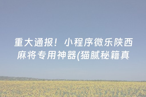 重大通报！小程序微乐陕西麻将专用神器(猫腻秘籍真的有挂)