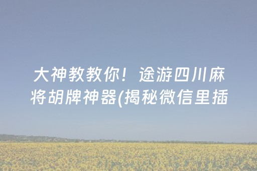 大神教教你！途游四川麻将胡牌神器(揭秘微信里插件购买)