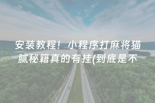 安装教程！小程序打麻将猫腻秘籍真的有挂(到底是不是有挂)