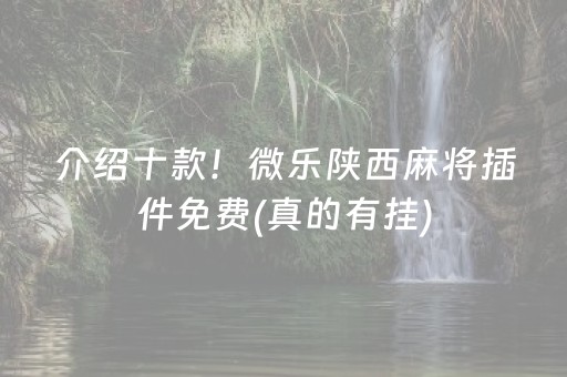 介绍十款！微乐陕西麻将插件免费(真的有挂)