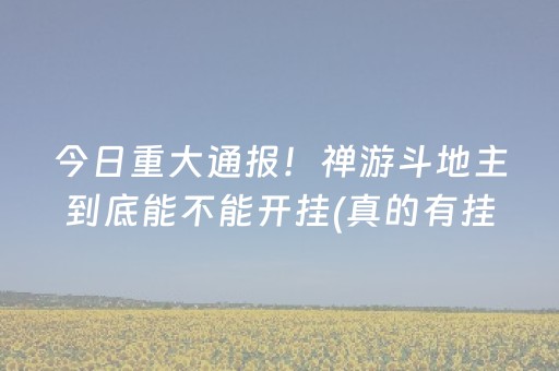 今日重大通报！禅游斗地主到底能不能开挂(真的有挂)