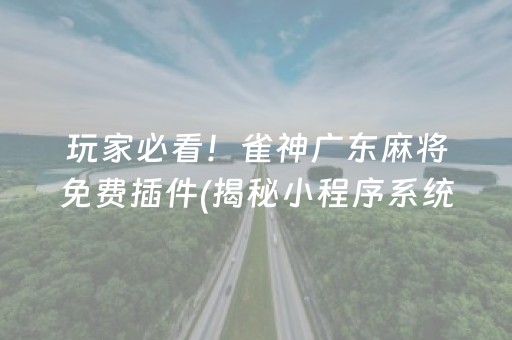 玩家必看！雀神广东麻将免费插件(揭秘小程序系统发好牌)