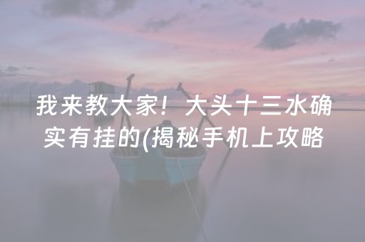 我来教大家！大头十三水确实有挂的(揭秘手机上攻略插件)