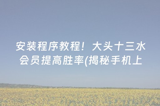 安装程序教程！大头十三水会员提高胜率(揭秘手机上怎么容易赢)