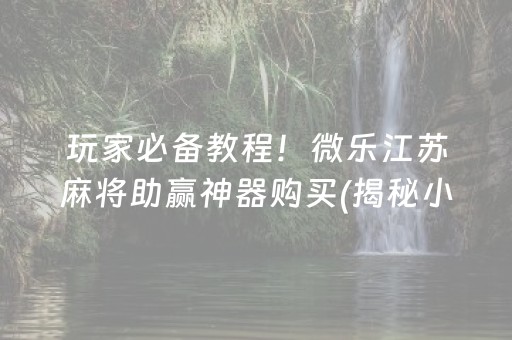 玩家必备教程！微乐江苏麻将助赢神器购买(揭秘小程序输赢规律)