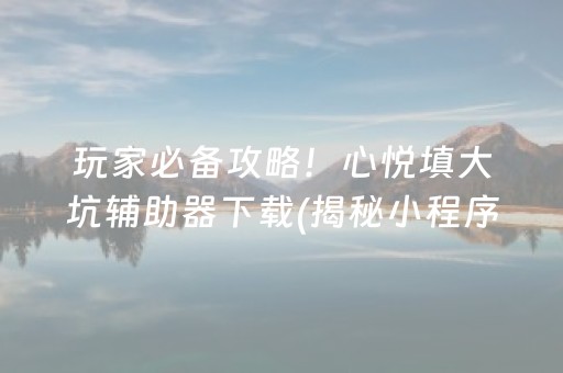玩家必备攻略！心悦填大坑辅助器下载(揭秘小程序插件下载)