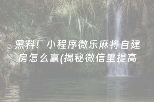 黑料！小程序微乐麻将自建房怎么赢(揭秘微信里提高赢的概率)