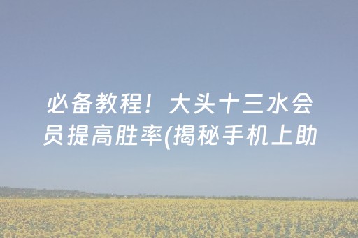 必备教程！大头十三水会员提高胜率(揭秘手机上助攻神器)
