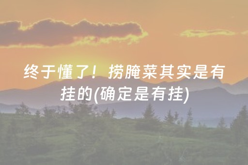 终于懂了！捞腌菜其实是有挂的(确定是有挂)