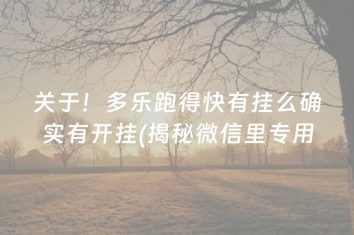 关于！多乐跑得快有挂么确实有开挂(揭秘微信里专用神器下载)