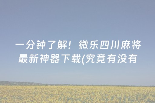 一分钟了解！微乐四川麻将最新神器下载(究竟有没有挂)
