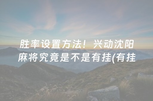胜率设置方法！兴动沈阳麻将究竟是不是有挂(有挂技巧辅助器)