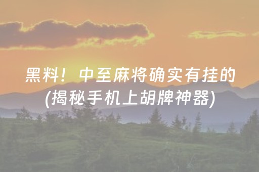 黑料！中至麻将确实有挂的(揭秘手机上胡牌神器)