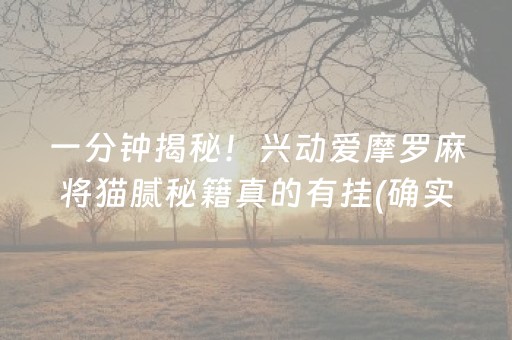 上海迪士尼旅游攻略（上海迪士尼游玩攻略）