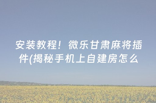 安装教程！微乐甘肃麻将插件(揭秘手机上自建房怎么赢)