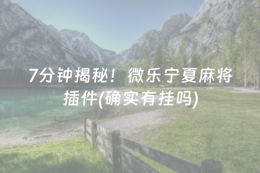 7分钟揭秘！微乐宁夏麻将插件(确实有挂吗)