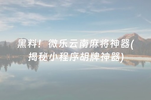黑料！微乐云南麻将神器(揭秘小程序胡牌神器)