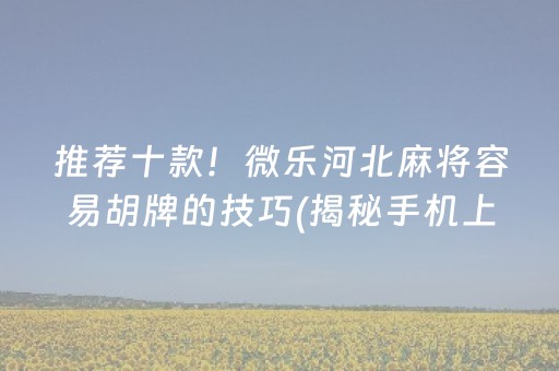 推荐十款！微乐河北麻将容易胡牌的技巧(揭秘手机上助攻神器)