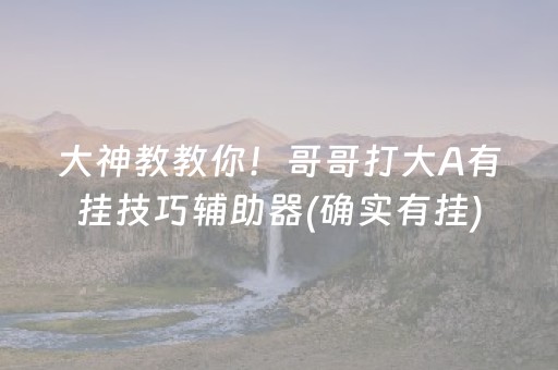 大神教教你！哥哥打大A有挂技巧辅助器(确实有挂)