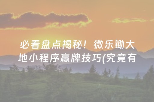 必看盘点揭秘！微乐锄大地小程序赢牌技巧(究竟有没有挂)