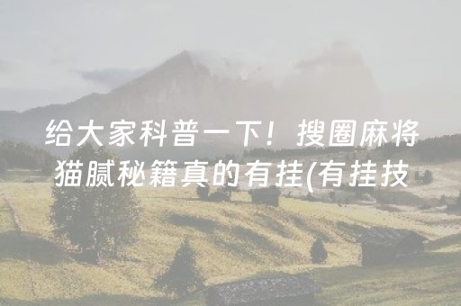 给大家科普一下！搜圈麻将猫腻秘籍真的有挂(有挂技巧辅助器)