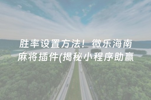 胜率设置方法！微乐海南麻将插件(揭秘小程序助赢软件)