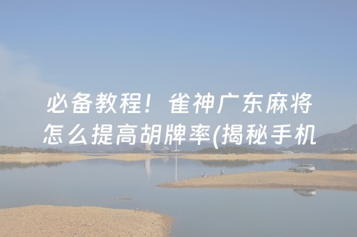 必备教程！雀神广东麻将怎么提高胡牌率(揭秘手机上插件免费)
