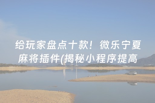 给玩家盘点十款！微乐宁夏麻将插件(揭秘小程序提高胜率)