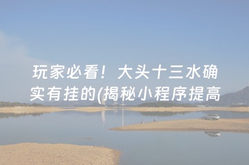 玩家必看！大头十三水确实有挂的(揭秘小程序提高赢的概率)