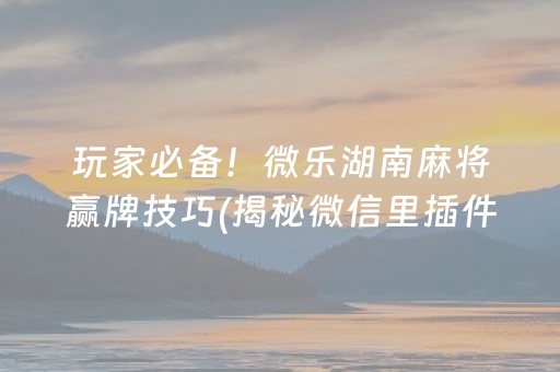 玩家必备！微乐湖南麻将赢牌技巧(揭秘微信里插件免费)
