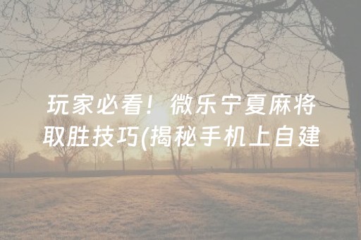 玩家必看！微乐宁夏麻将取胜技巧(揭秘手机上自建房怎么赢)