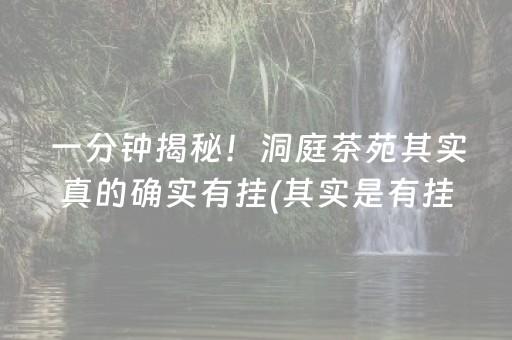 一分钟揭秘！洞庭茶苑其实真的确实有挂(其实是有挂确实有挂)