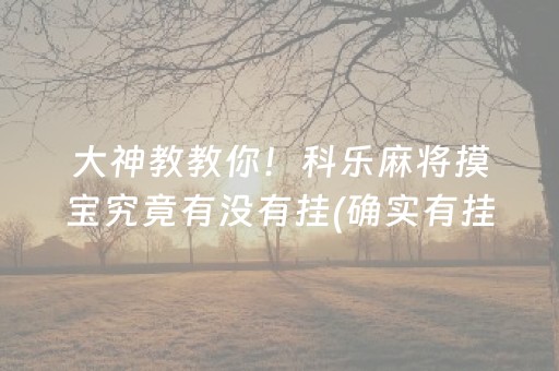 大神教教你！科乐麻将摸宝究竟有没有挂(确实有挂吗)