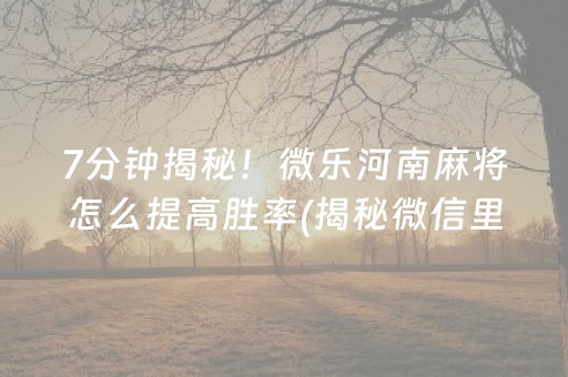 7分钟揭秘！微乐河南麻将怎么提高胜率(揭秘微信里胜率到哪调)