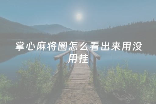 掌心麻将圈怎么看出来用没用挂（掌心麻将圈链接）