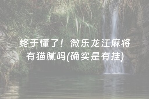 终于懂了！微乐龙江麻将有猫腻吗(确实是有挂)