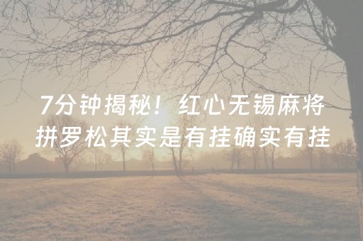 7分钟揭秘！红心无锡麻将拼罗松其实是有挂确实有挂(有挂技巧辅助器)