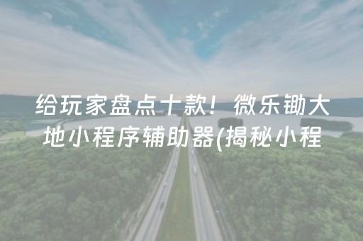 给玩家盘点十款！微乐锄大地小程序辅助器(揭秘小程序助攻神器)