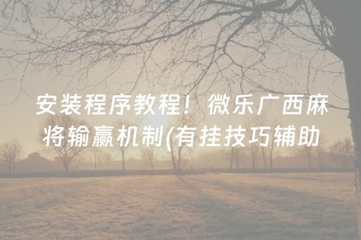 安装程序教程！微乐广西麻将输赢机制(有挂技巧辅助器)