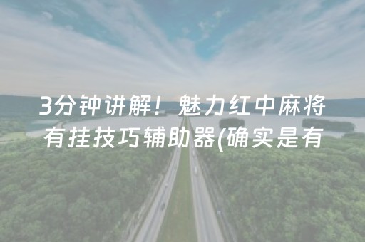 3分钟讲解！魅力红中麻将有挂技巧辅助器(确实是有挂的)