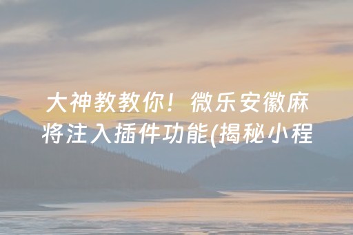 大神教教你！微乐安徽麻将注入插件功能(揭秘小程序胡牌技巧)