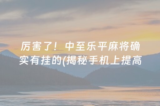 厉害了！中至乐平麻将确实有挂的(揭秘手机上提高赢的概率)