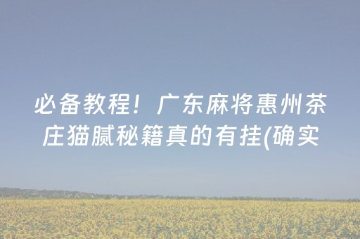 必备教程！广东麻将惠州茶庄猫腻秘籍真的有挂(确实真的有挂)